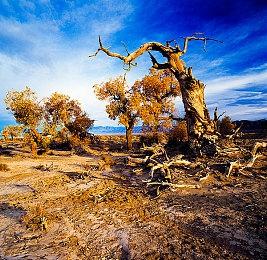 《My Friend Toby》Steam上线 恐怖逃生新游